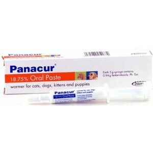 Panacur oral paste wormer 18.75%